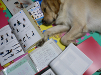 wphoto05nov2 105.JPG